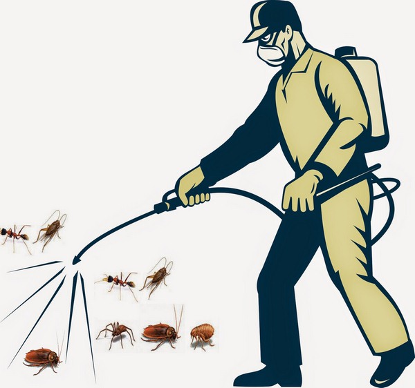 diệt côn trùng tại Hậu Giang