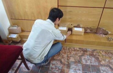 diệt mối Hóc Môn