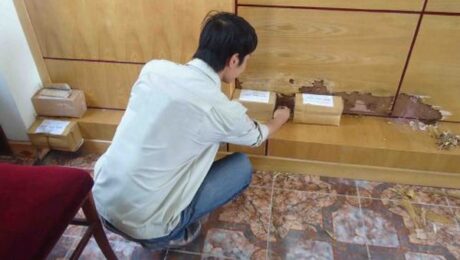 diệt mối Hóc Môn