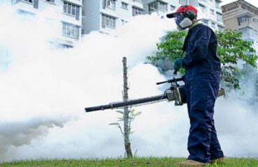 diệt côn trùng tại quận 3