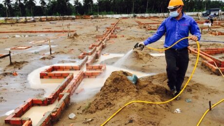 Dự toán chống mối công trình