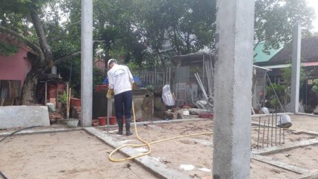 Quy trình chống mối