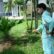 diệt côn trùng tại Bắc Ninh
