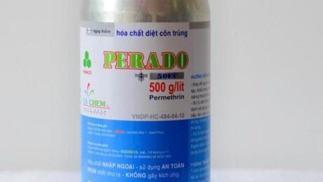 Diệt Côn Trùng Tại Quận 9