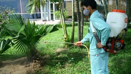 diệt côn trùng tại Cà Mau