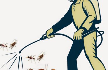 diệt côn trùng tại Hậu Giang