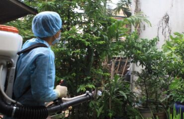 diệt côn trùng tại Hưng Yên