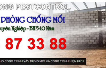 Diệt Côn Trùng Tại Thủ Đức