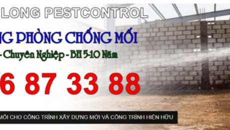 Diệt Côn Trùng Tại Thủ Đức