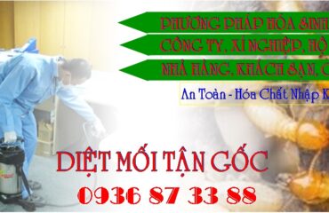 Diệt Mối Tại TPHCM