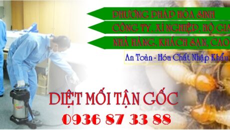 Diệt Mối Tại TPHCM