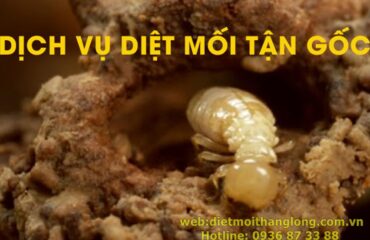 DIET MOI THANG LONG BBBB