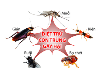DIET CON TRUNG GAY HAI