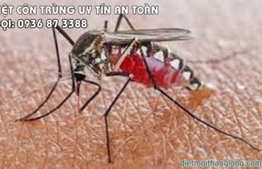diet con trung 1