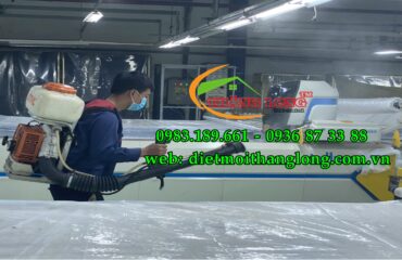anh ytobe thang long 75f