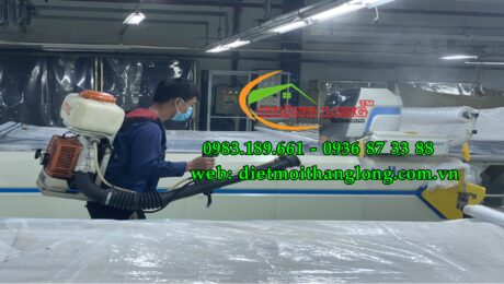 anh ytobe thang long 75f