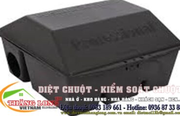 hop dung ba chuot