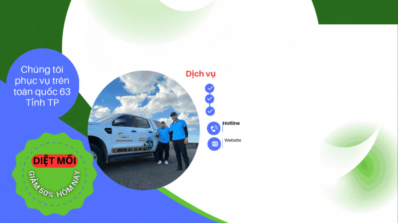 Diệt mối Bình Thuận uy tín – Thăng Long