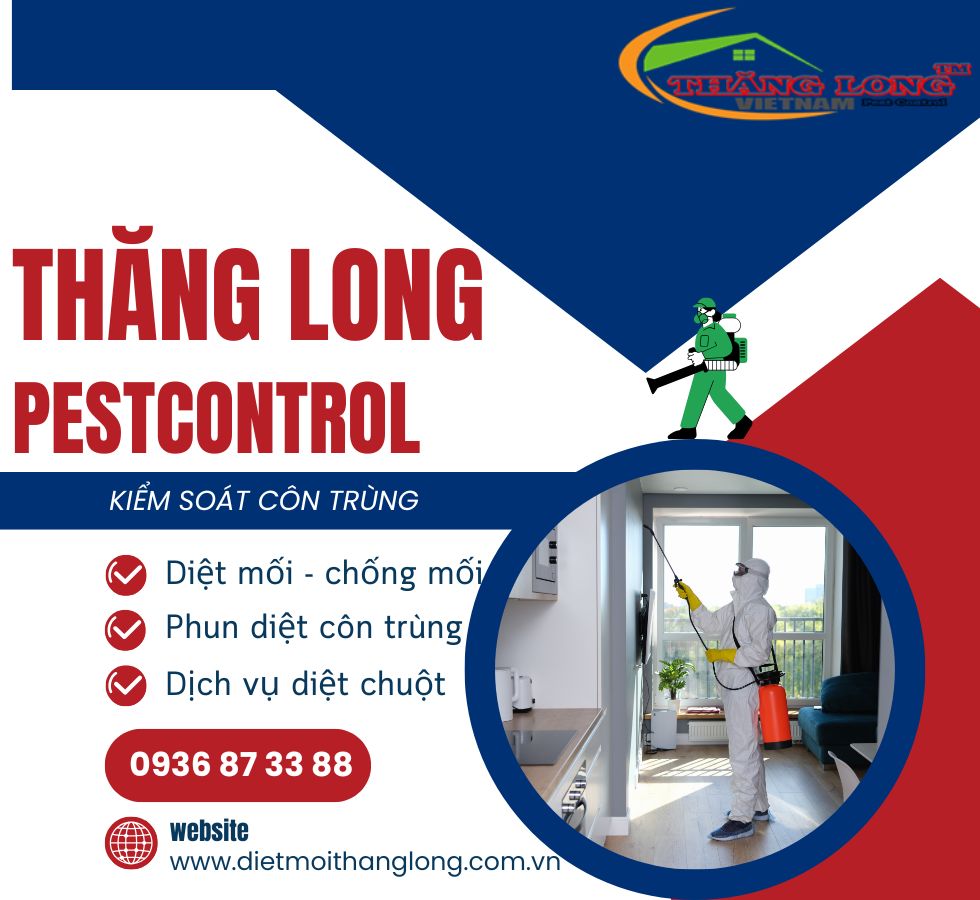 Quy trình diệt mối và kiểm soát côn trùng Thăng Long