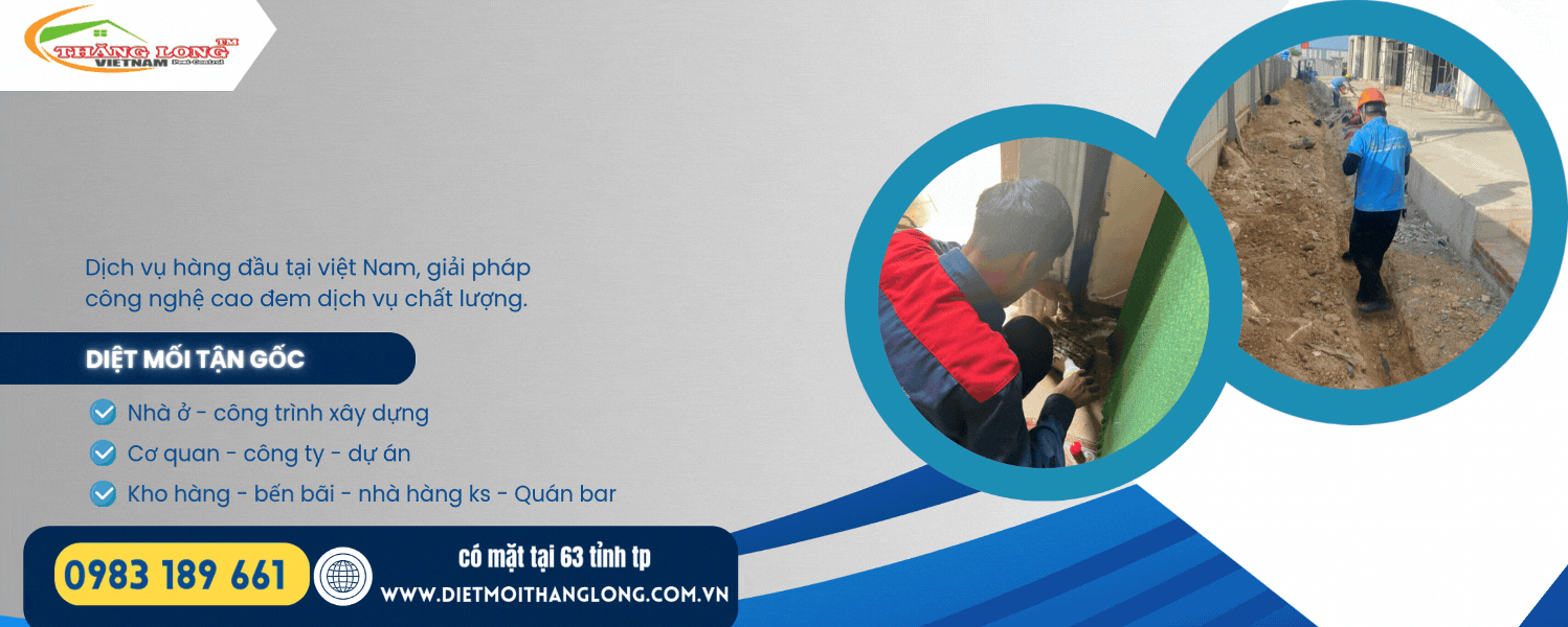 Thi công phòng chống mối Thăng Long