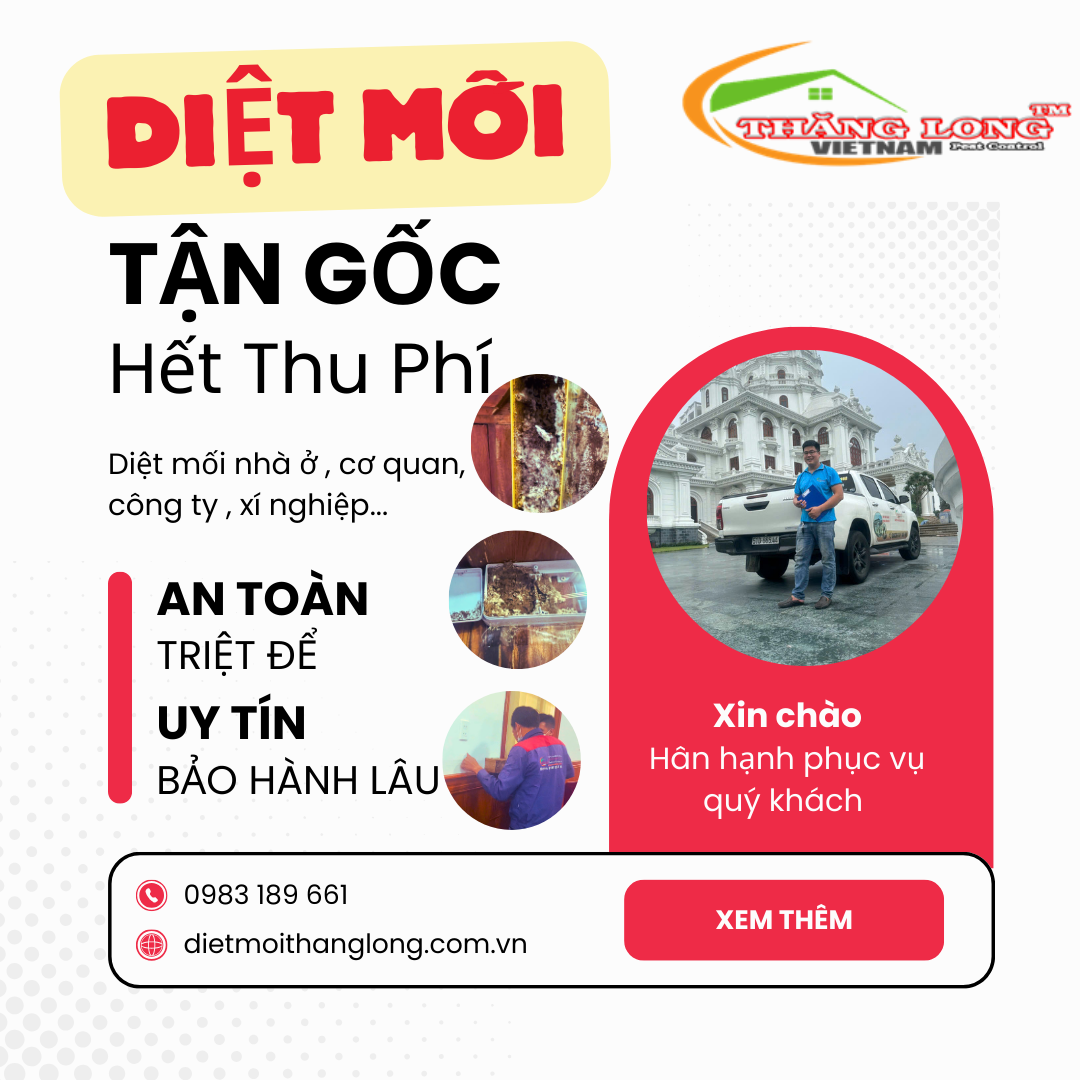 Dịch vụ diệt mối tận gốc tại Long An