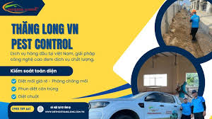 Câu hỏi thường gặp về diệt mối tại nhà