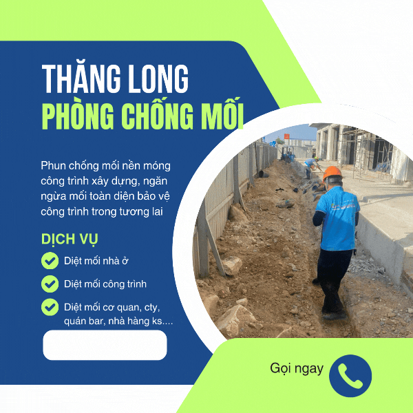 Cam kết dịch vụ diệt mối Thăng Long