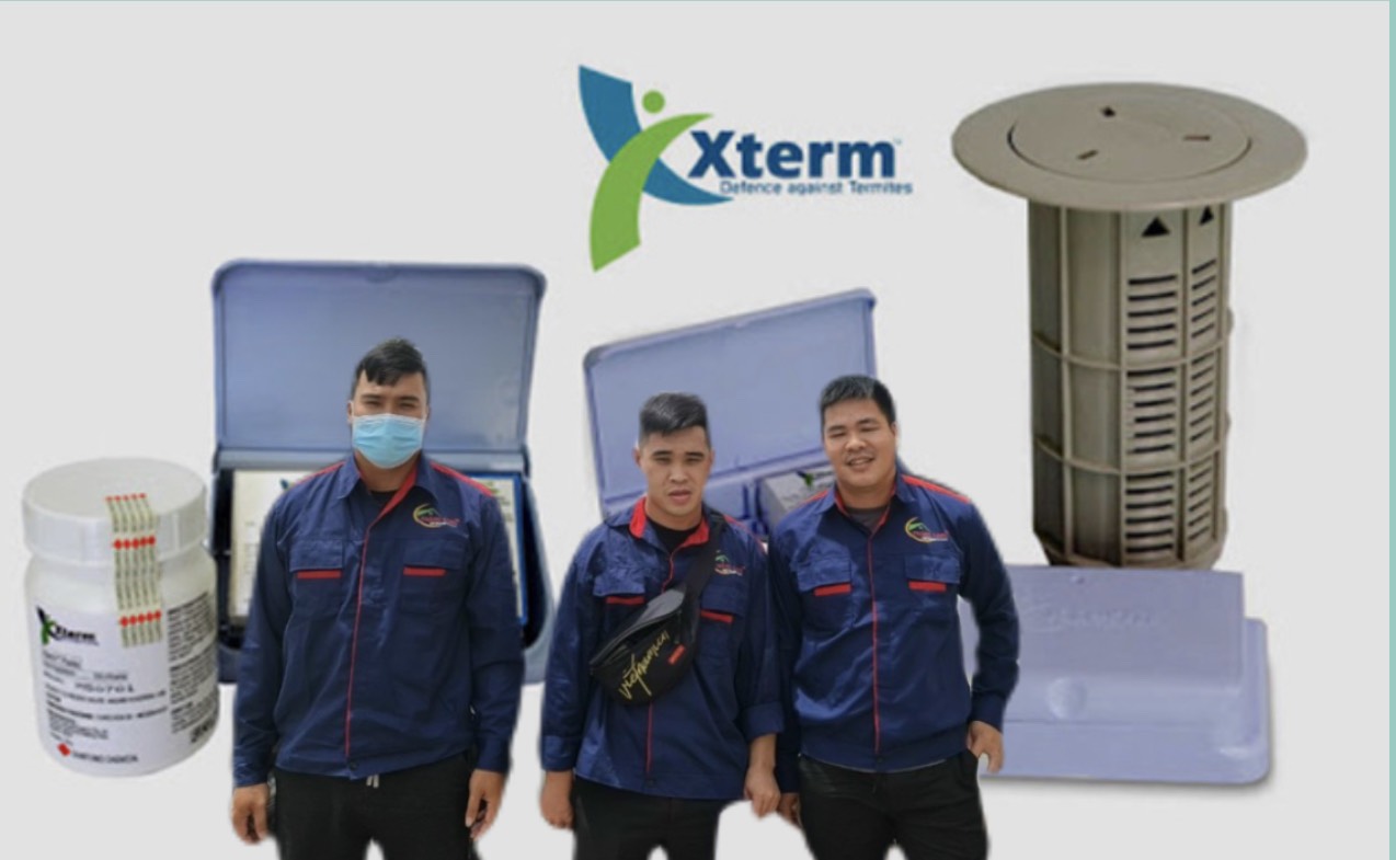 Nhận diệt mối cho mọi công trình tại Khánh Hòa