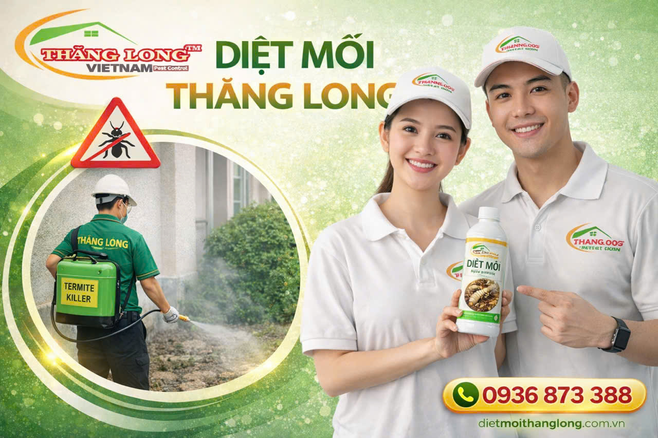 Diệt mối kho xưởng Vũng Tàu
