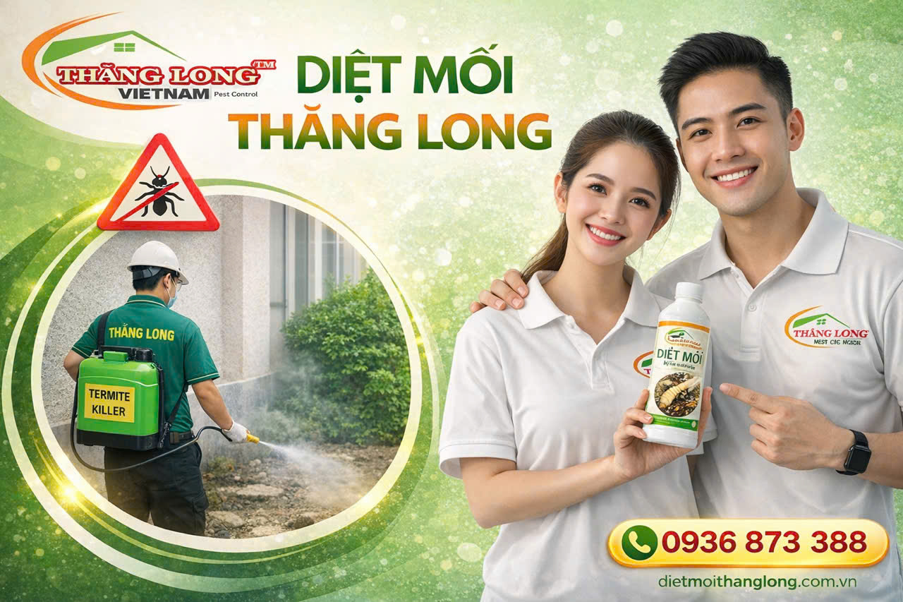 Bảng giá diệt mối Vũng Tàu