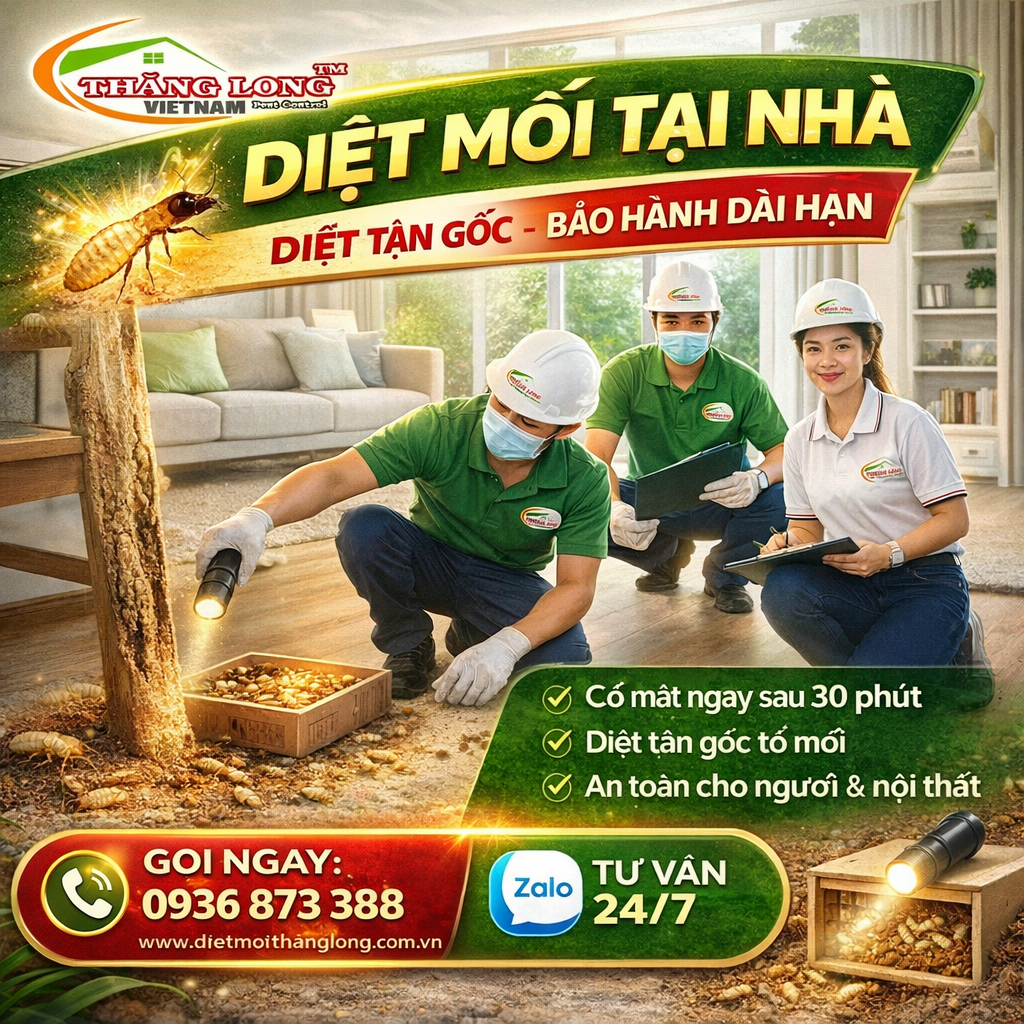 Dịch vụ diệt mối TP HCM