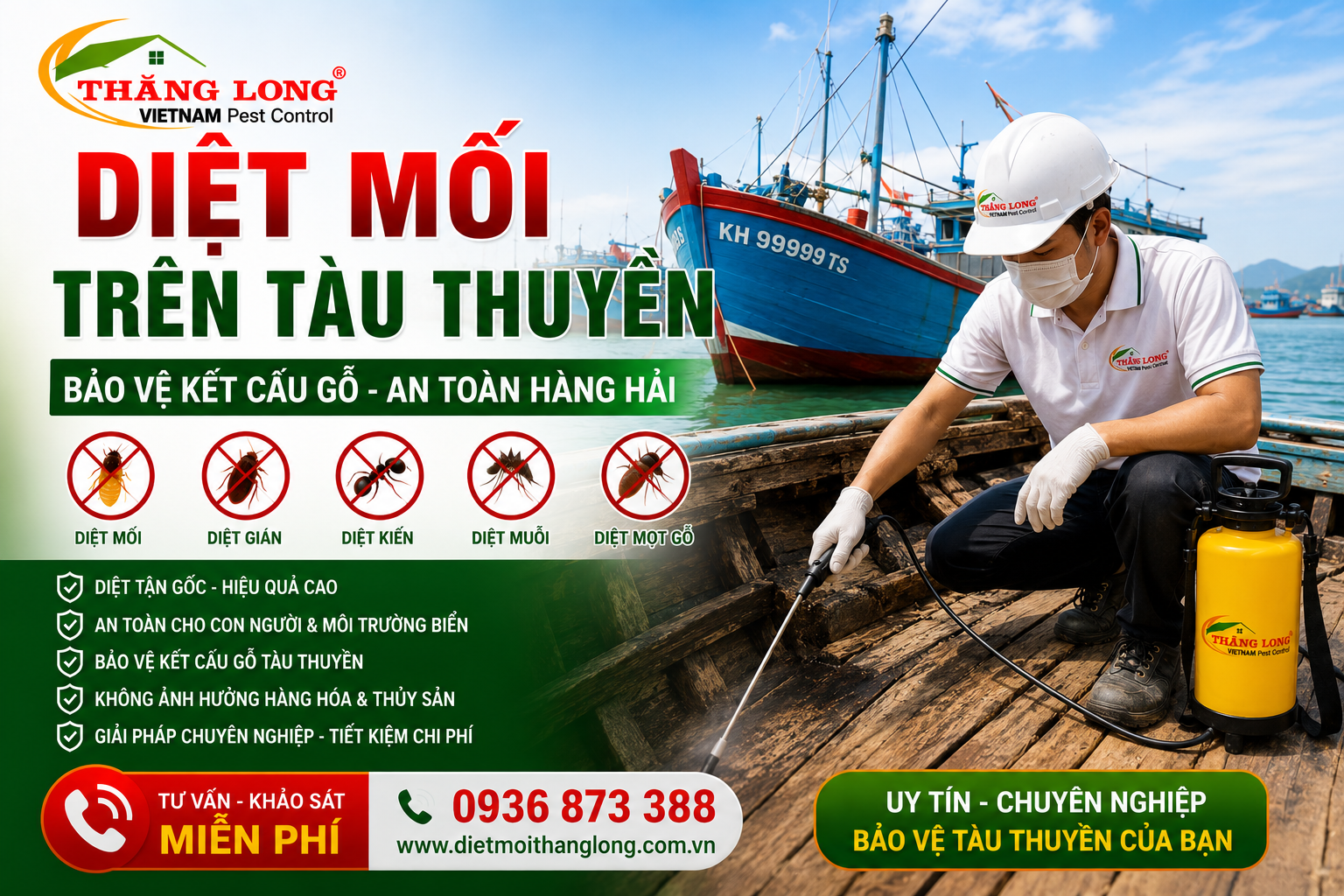 Mối tayayu phá hoại tàu thuyền ghe gỗ