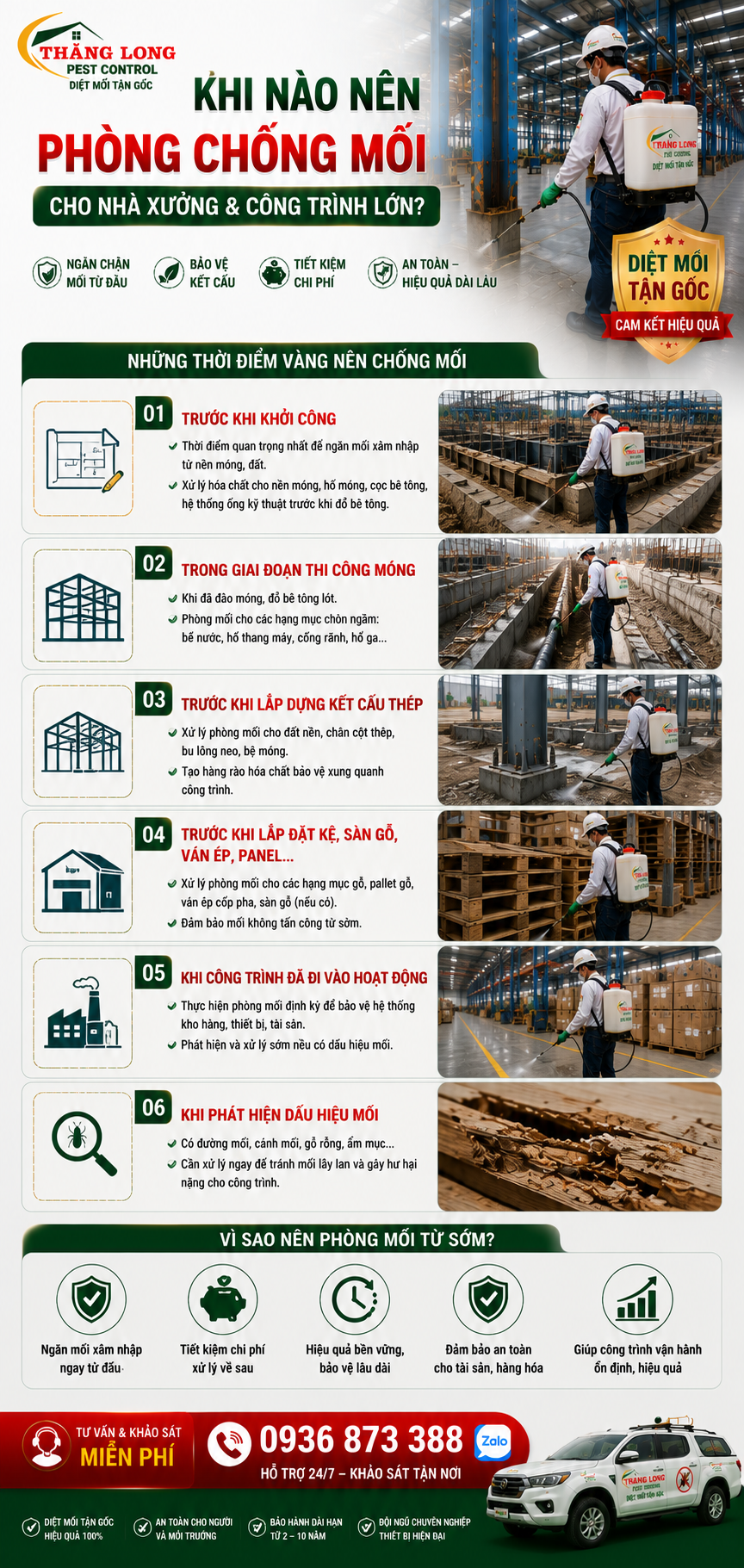 Thời điểm và chi phí phòng chống mối cho nhà xưởng